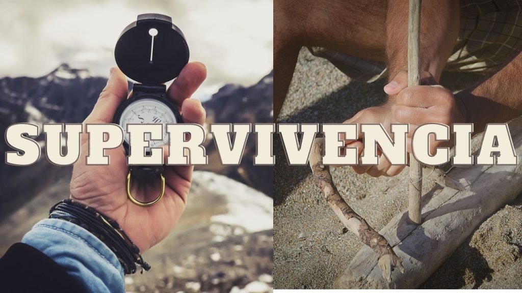 Imagen Supervivencia